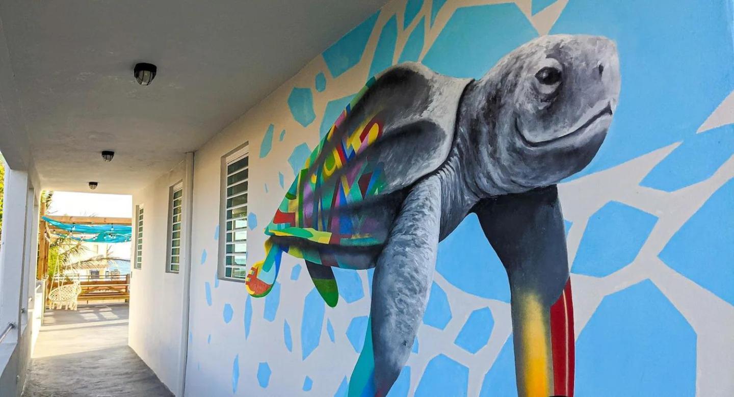 فندق The Surfing Turtle لوكويللو المظهر الخارجي الصورة